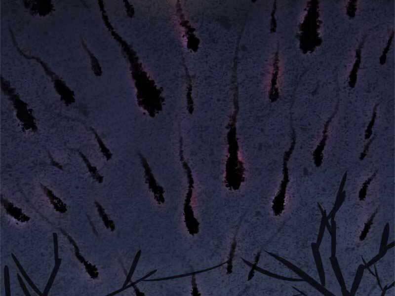 Chế Ngự Kiếm 26 trang 187