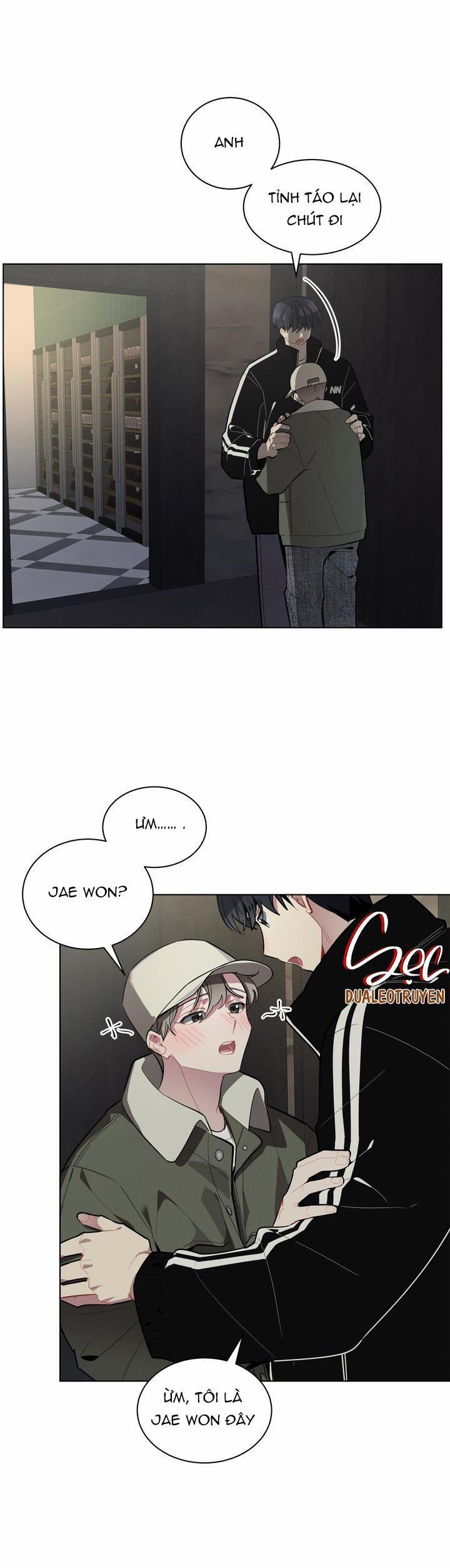 Cherry Scandal 19 trang 21