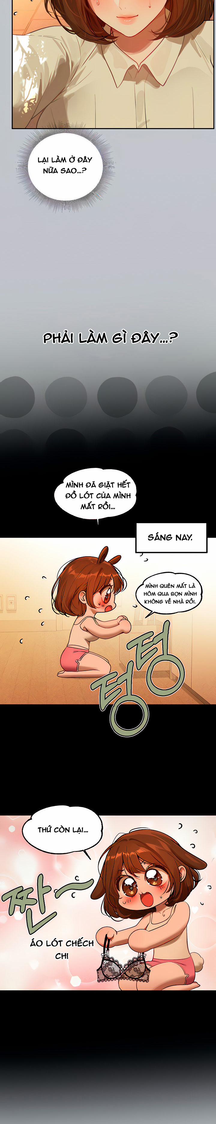 Chị Chủ Nhà Của Tôi 101.1 trang 3