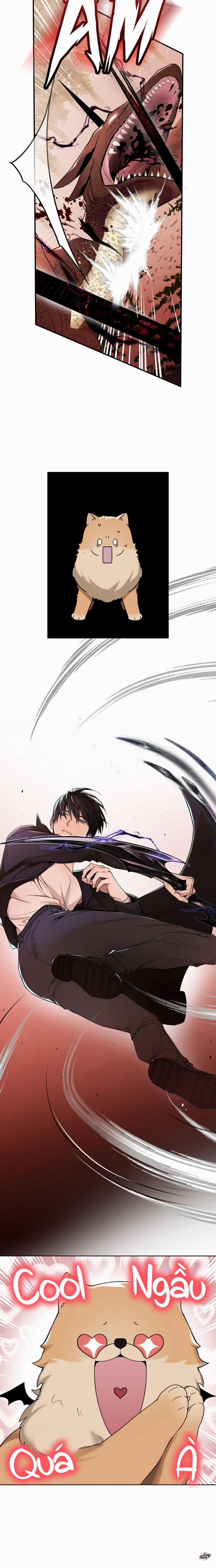 Chỉ Dẫn Nguy Hiểm 12 trang 5