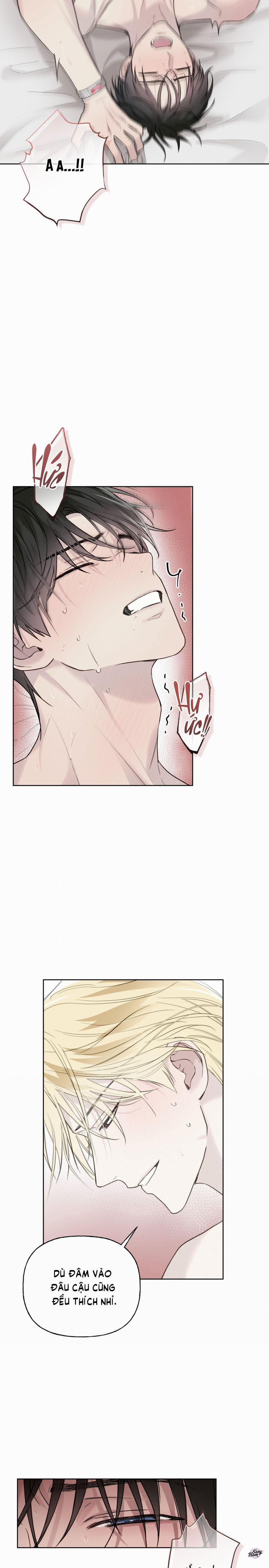 Chỉ Dẫn Nguy Hiểm 21 trang 11