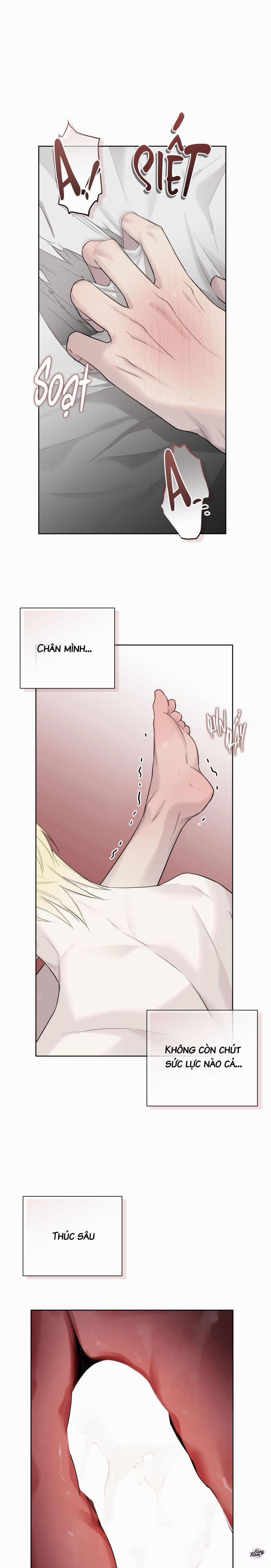 Chỉ Dẫn Nguy Hiểm 21 trang 6