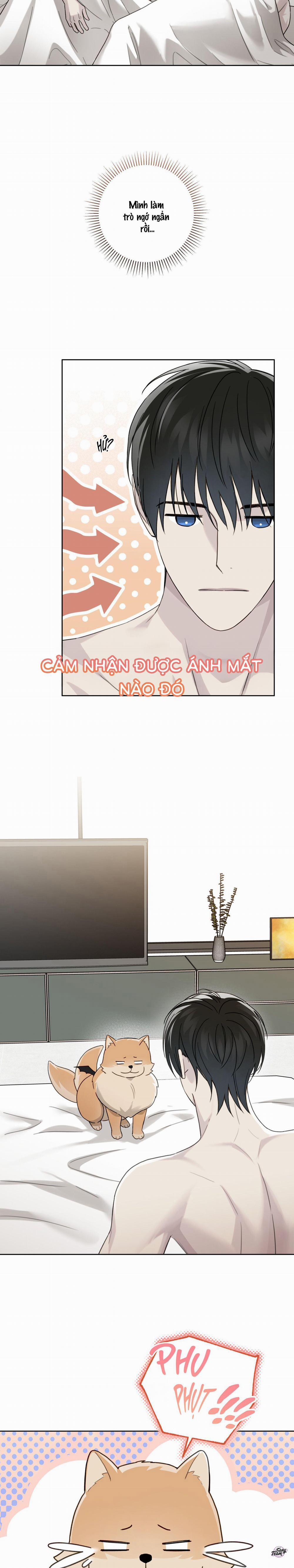 Chỉ Dẫn Nguy Hiểm 49 trang 4