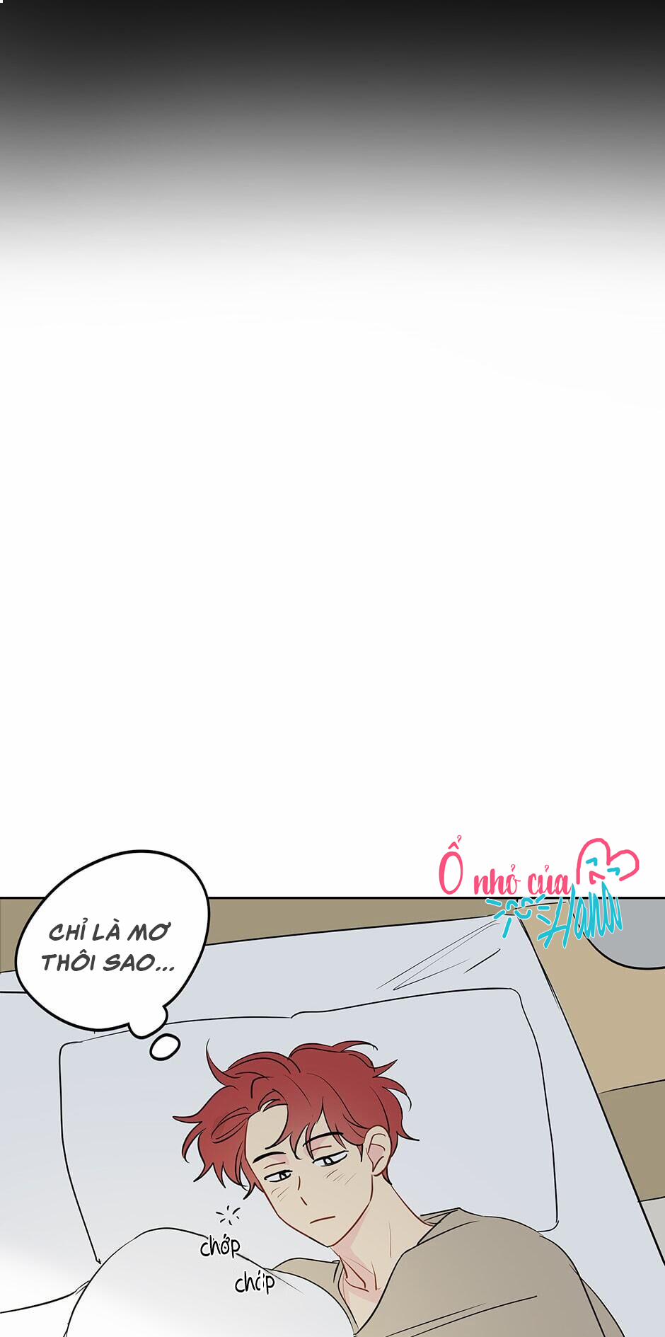 Chỉ Là Giấc Mơ Thôi Phải Không? 20 trang 29