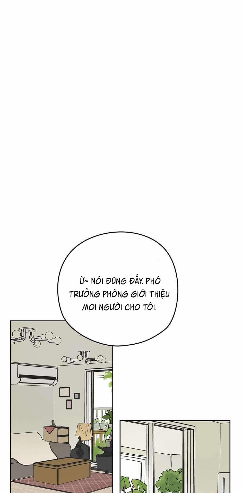 Chỉ Là Giấc Mơ Thôi Phải Không? 22 trang 15