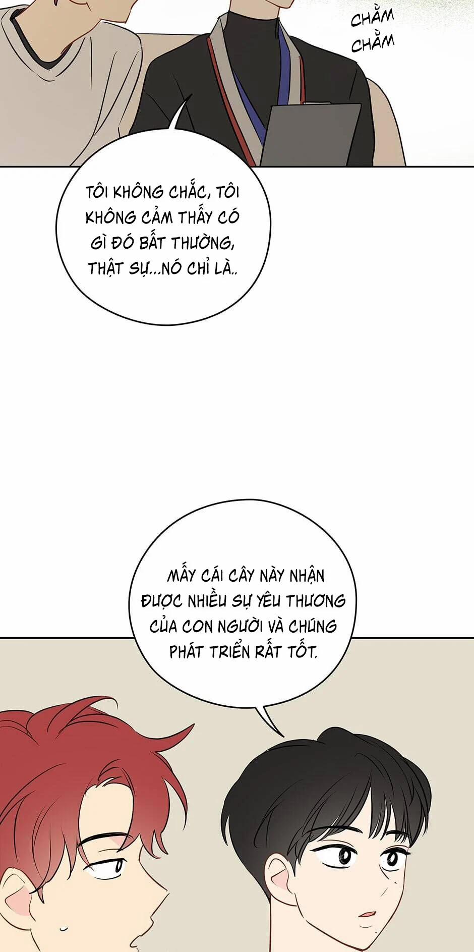 Chỉ Là Giấc Mơ Thôi Phải Không? 22 trang 40