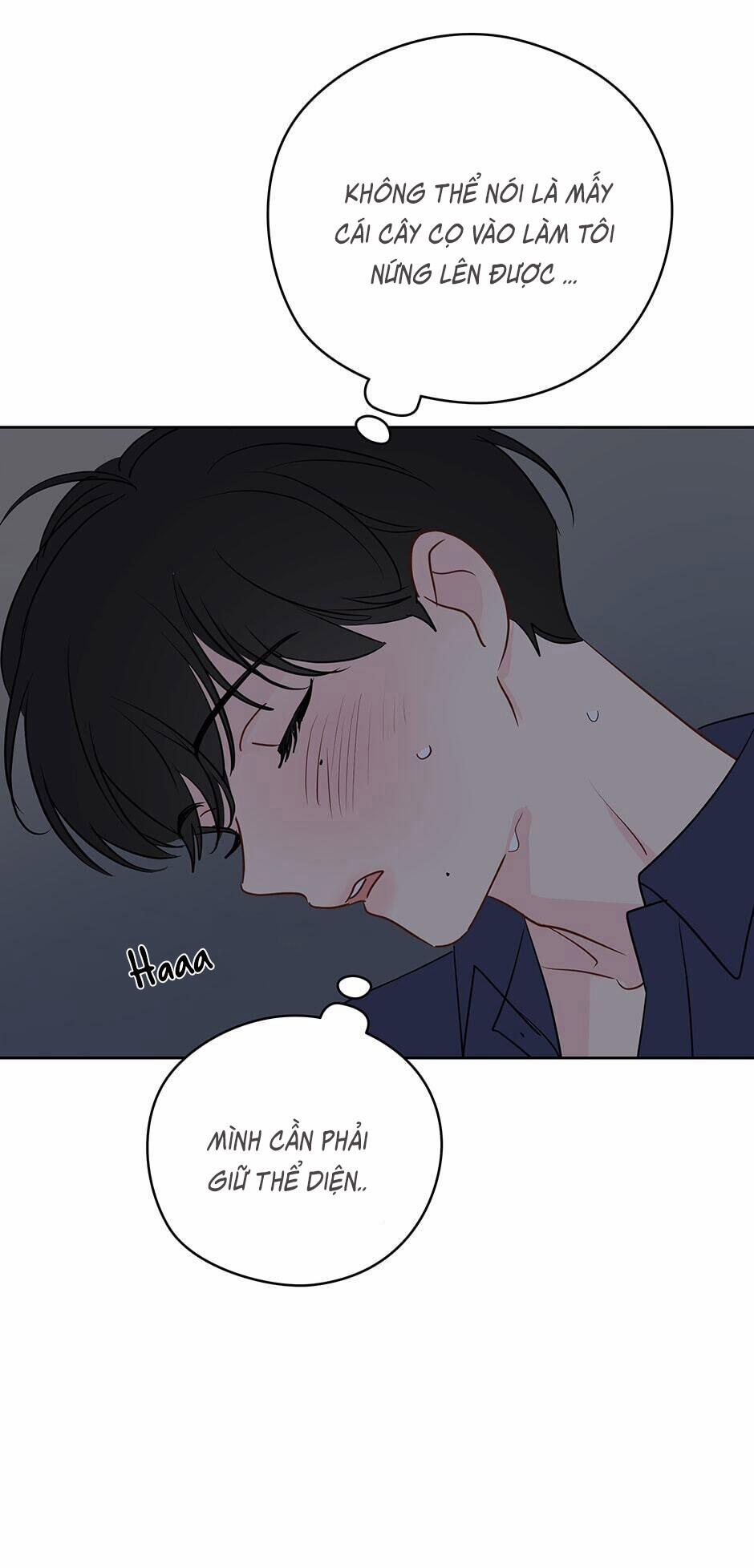 Chỉ Là Giấc Mơ Thôi Phải Không? 23 trang 61