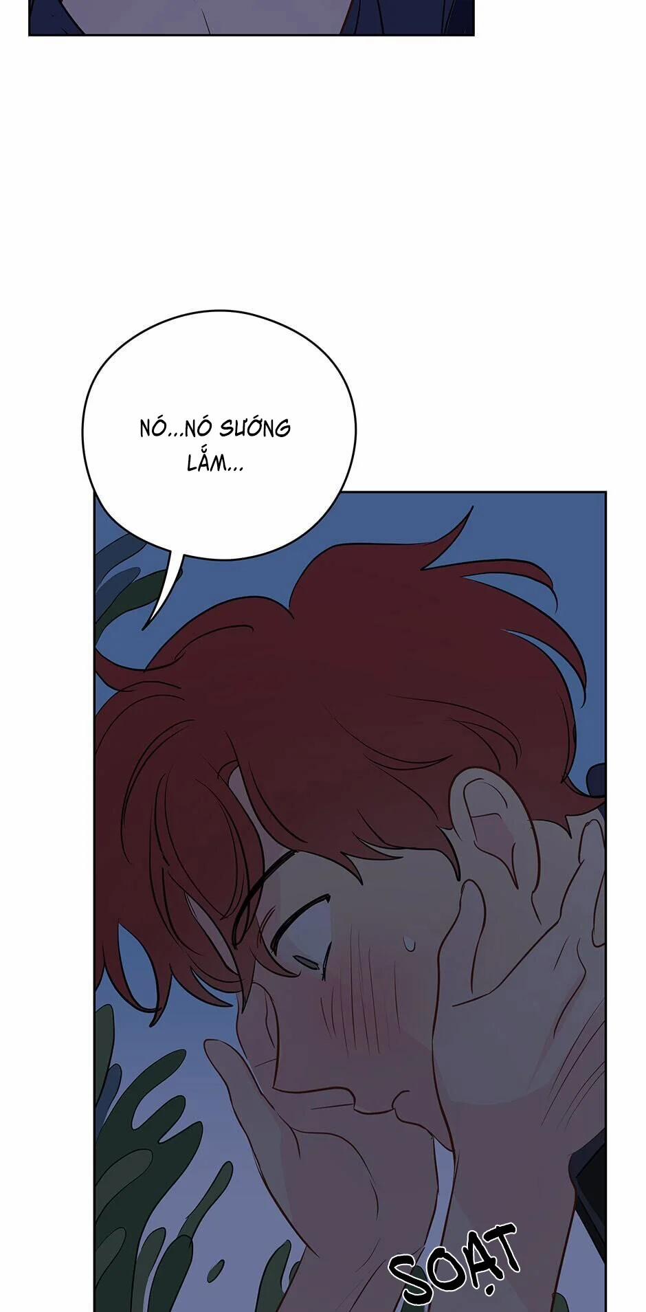 Chỉ Là Giấc Mơ Thôi Phải Không? 24 trang 27