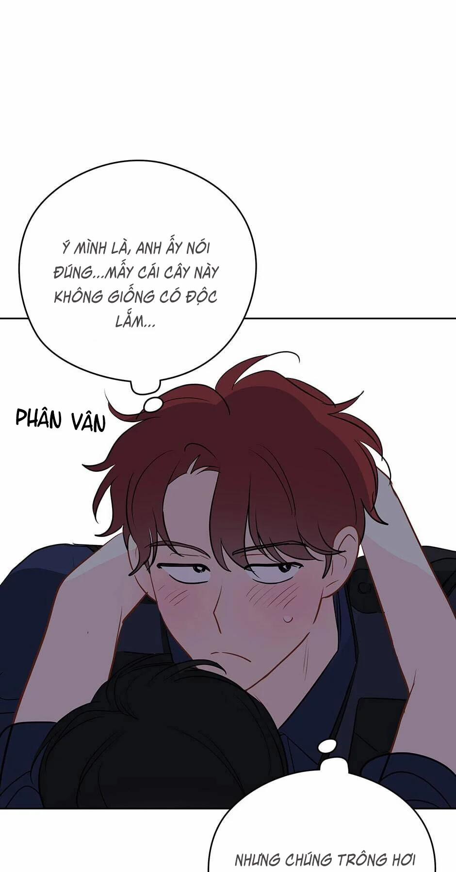 Chỉ Là Giấc Mơ Thôi Phải Không? 24 trang 30