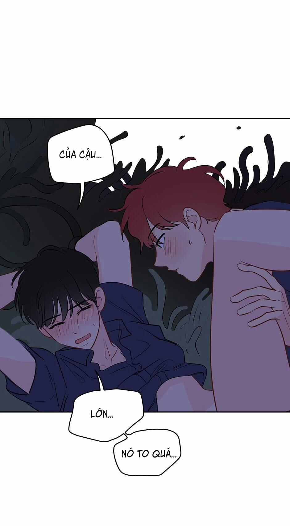 Chỉ Là Giấc Mơ Thôi Phải Không? 25 trang 28