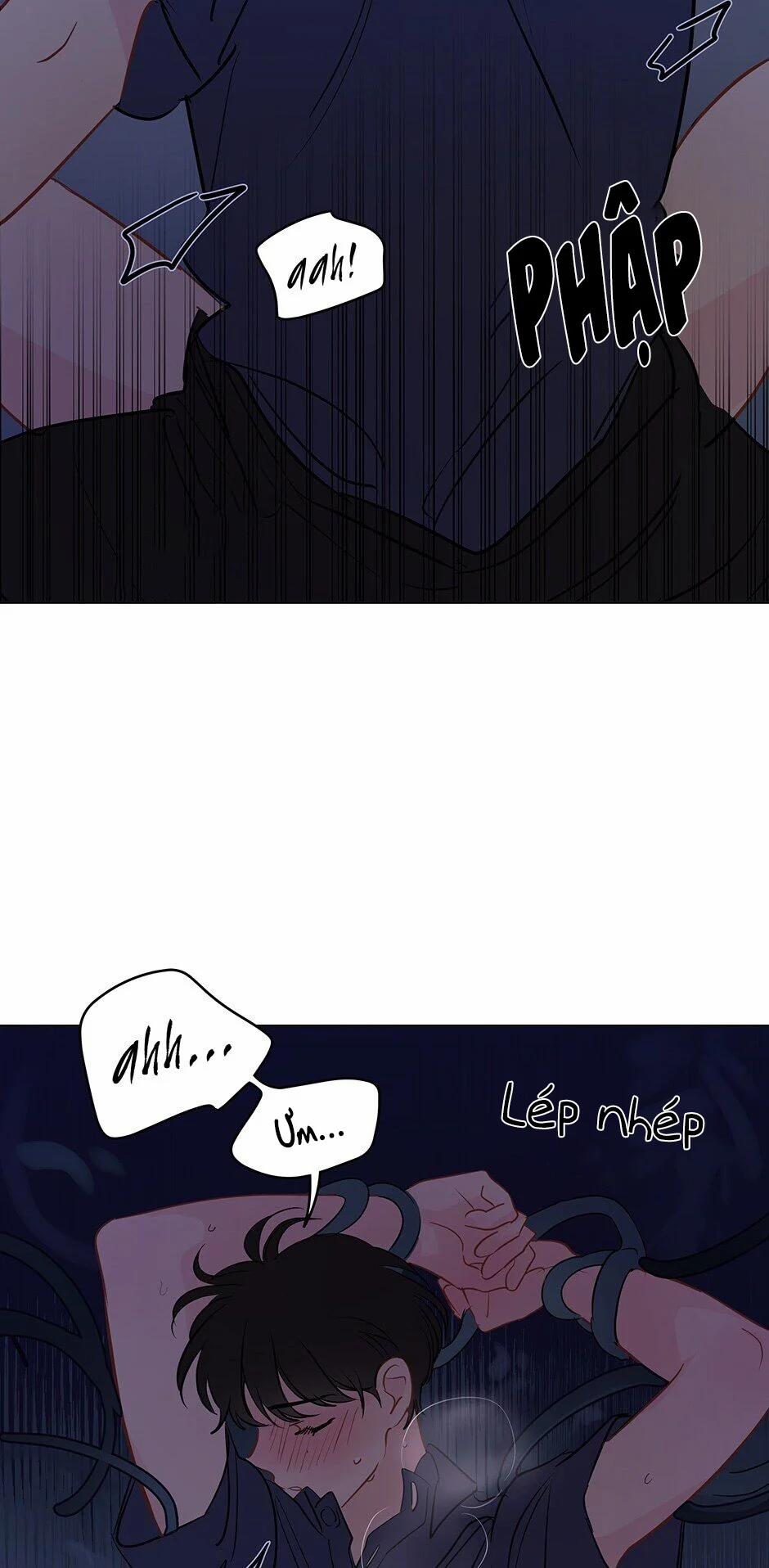 Chỉ Là Giấc Mơ Thôi Phải Không? 25 trang 35