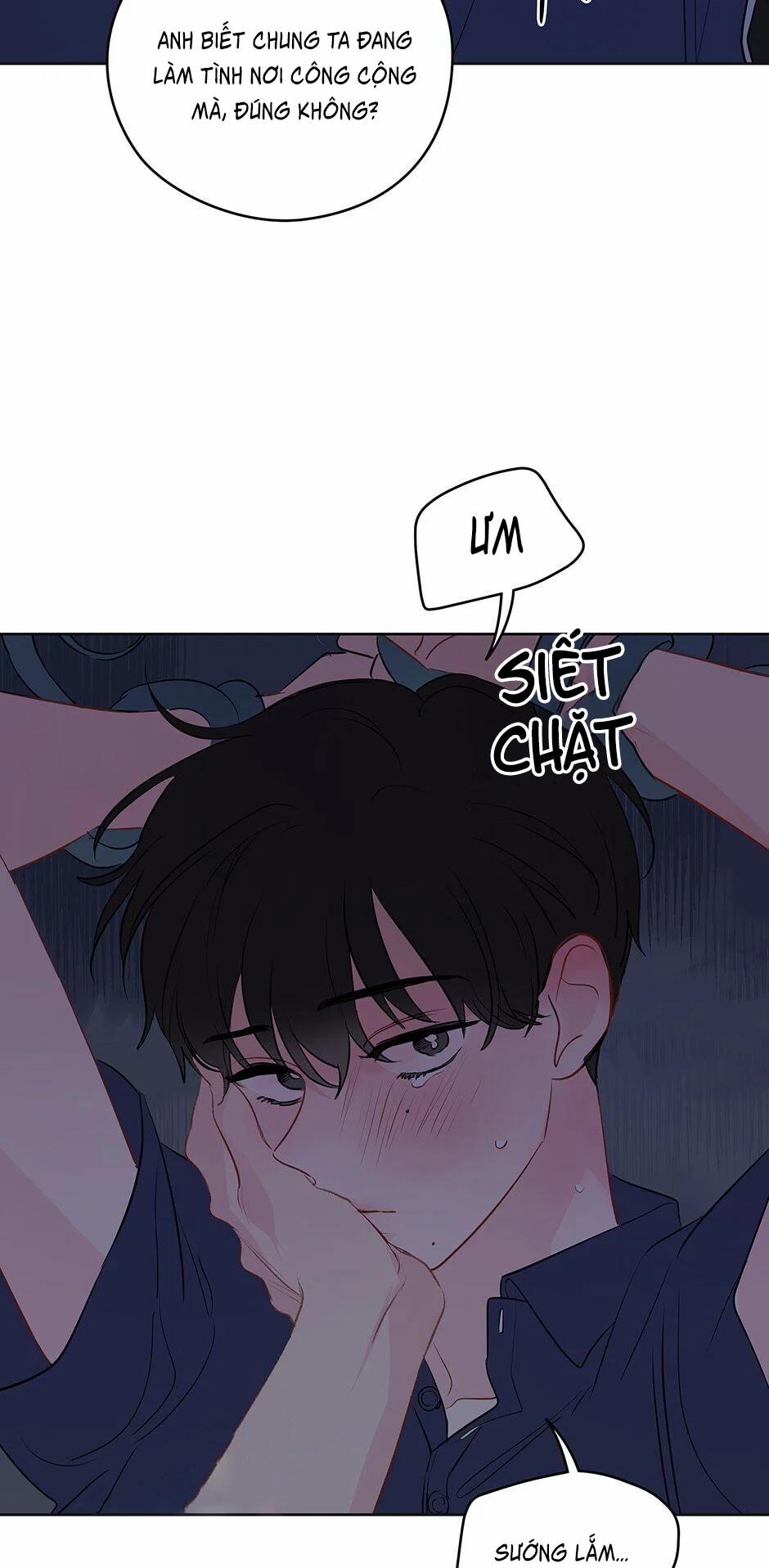 Chỉ Là Giấc Mơ Thôi Phải Không? 25 trang 38