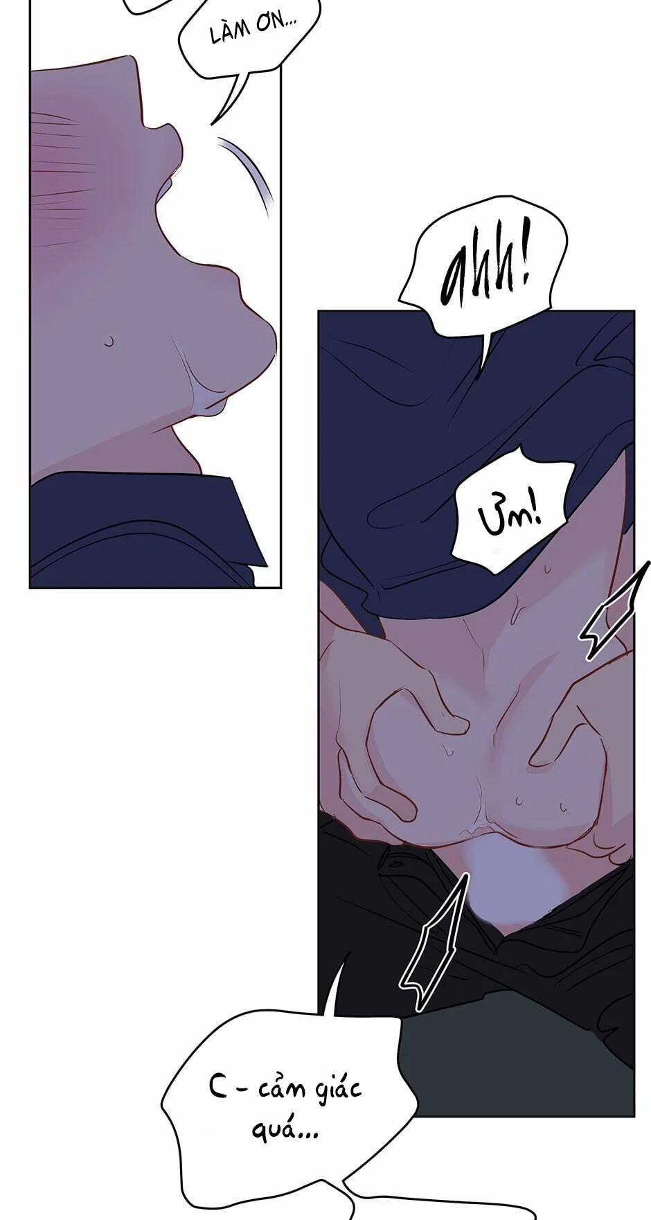 Chỉ Là Giấc Mơ Thôi Phải Không? 25 trang 45