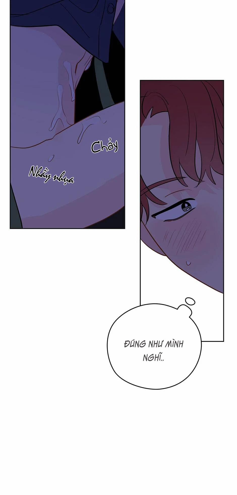 Chỉ Là Giấc Mơ Thôi Phải Không? 25 trang 52