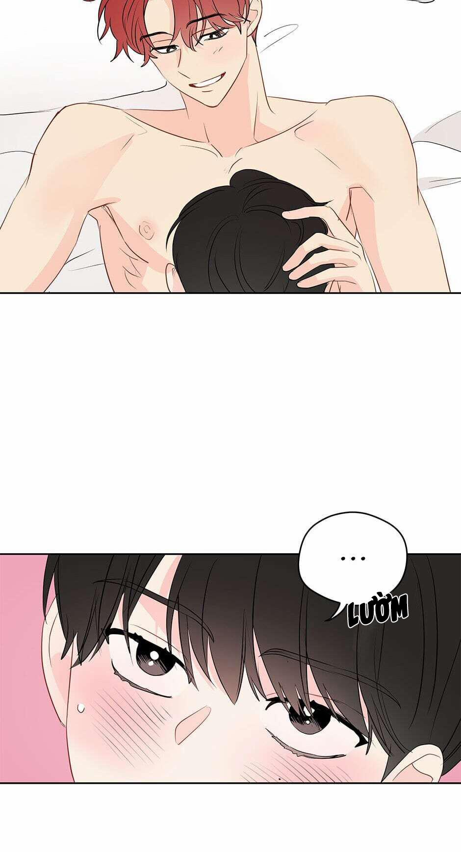 Chỉ Là Giấc Mơ Thôi Phải Không? 28 trang 24