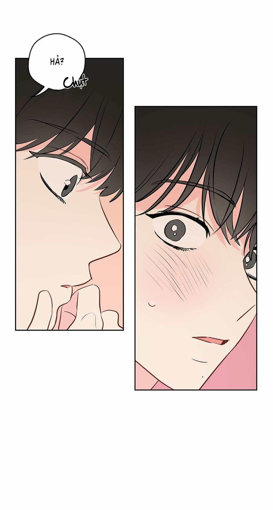 Chỉ Là Giấc Mơ Thôi Phải Không? 28 trang 5