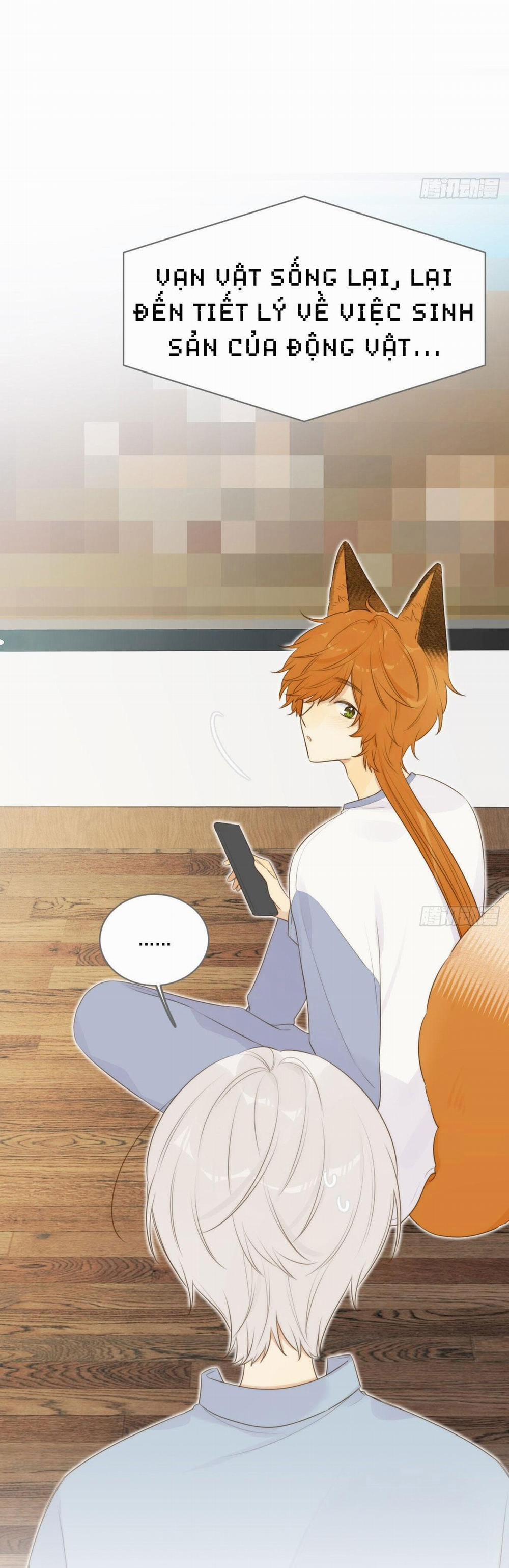 Chỉ Riêng Đuôi Là Không Được!!! 13 trang 12