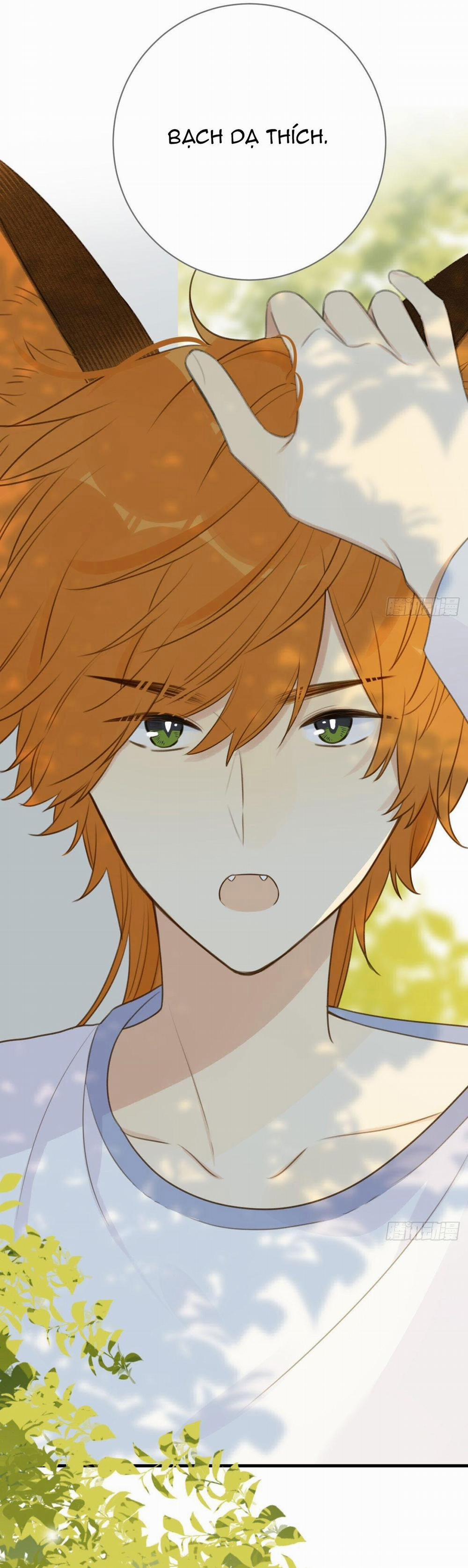 Chỉ Riêng Đuôi Là Không Được!!! 13 trang 22