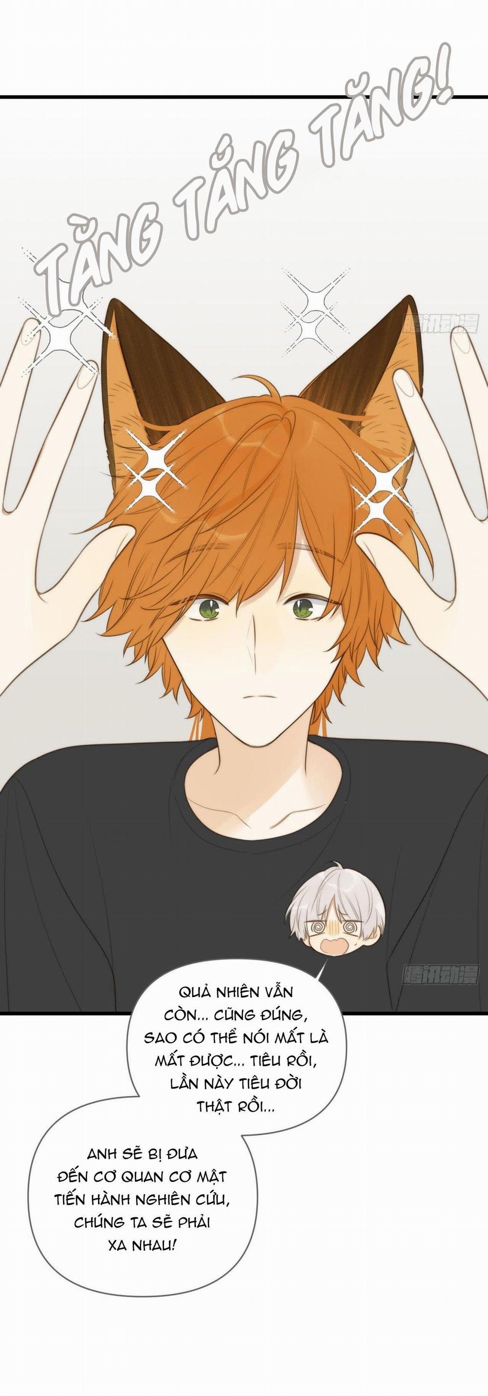 Chỉ Riêng Đuôi Là Không Được!!! 21 trang 24