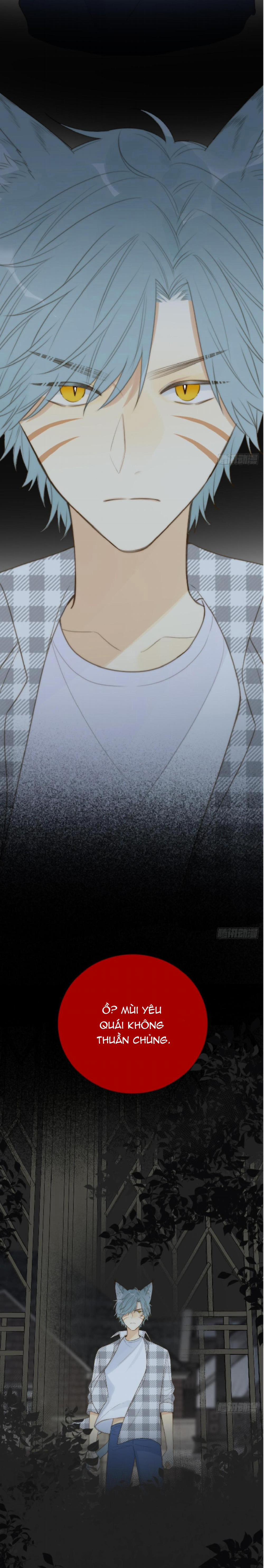 Chỉ Riêng Đuôi Là Không Được!!! 27 trang 13