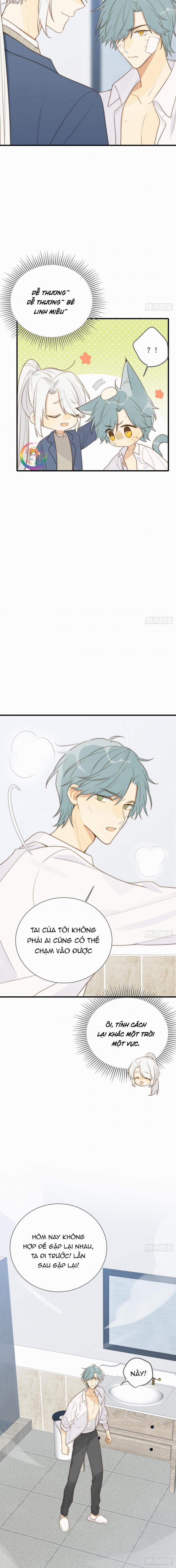 Chỉ Riêng Đuôi Là Không Được!!! 32 trang 4