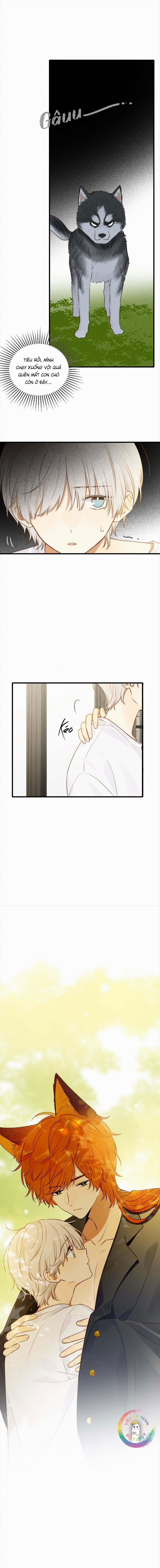 Chỉ Riêng Đuôi Là Không Được!!! 4 trang 13