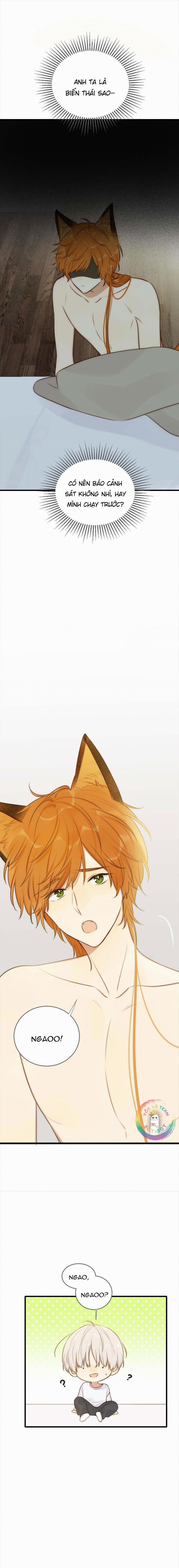 Chỉ Riêng Đuôi Là Không Được!!! 4 trang 3