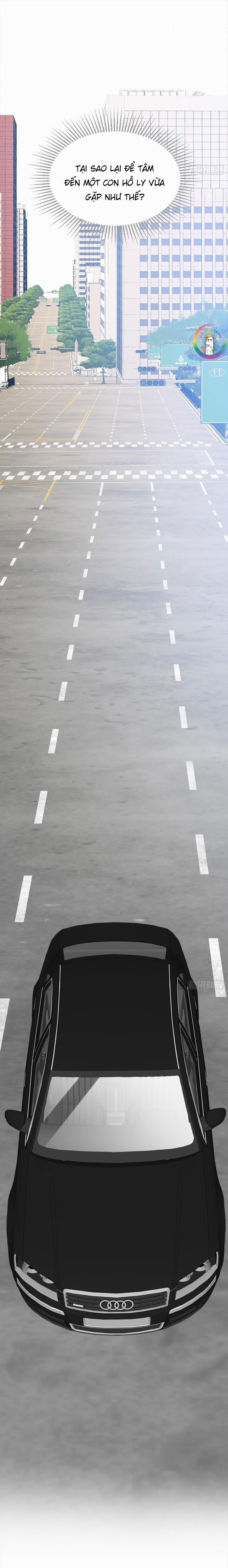 Chỉ Riêng Đuôi Là Không Được!!! 8 trang 2