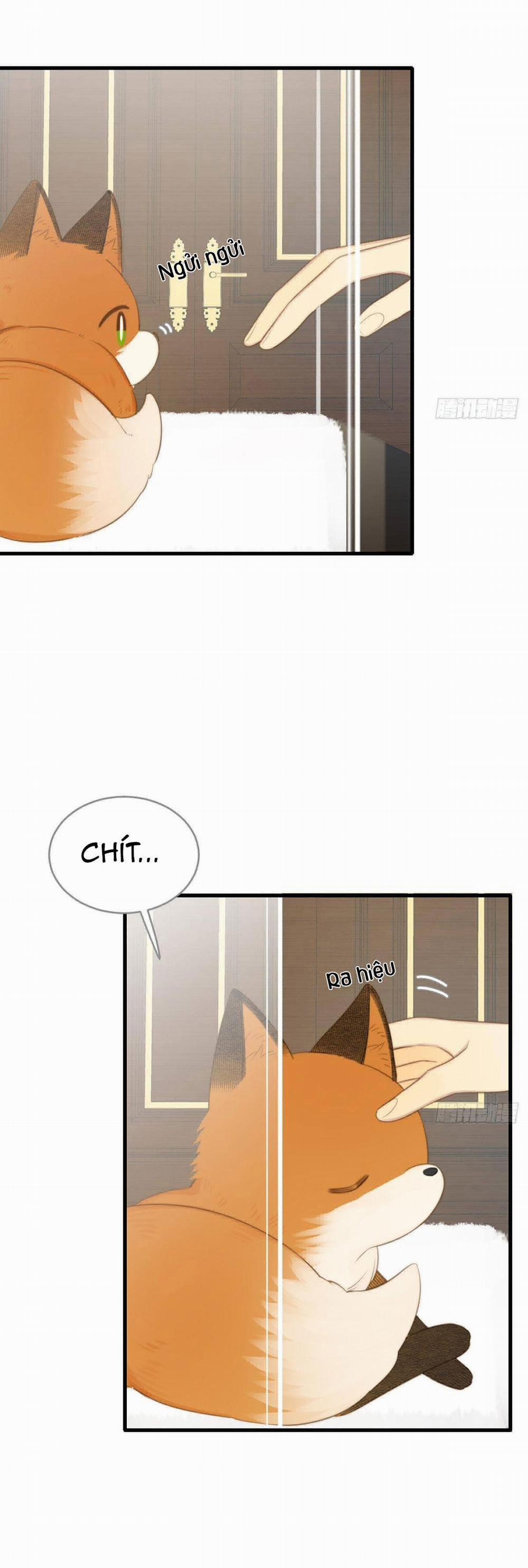 Chỉ Riêng Đuôi Là Không Được!!! 9 trang 24