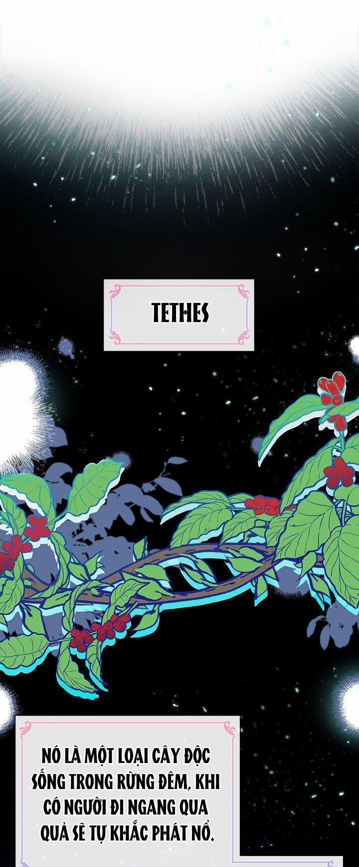 Chị Tôi Đã Nhặt Về Một Nam Chính Quyến Rũ 11 trang 2