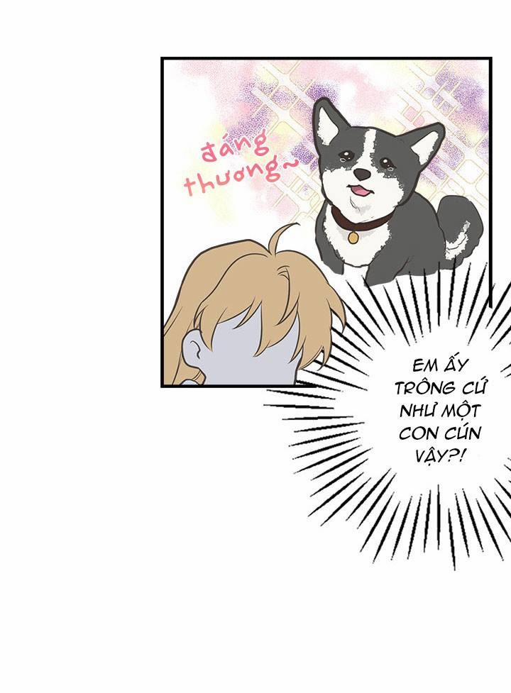 Chị Tôi Đã Nhặt Về Một Nam Chính Quyến Rũ 12 trang 40