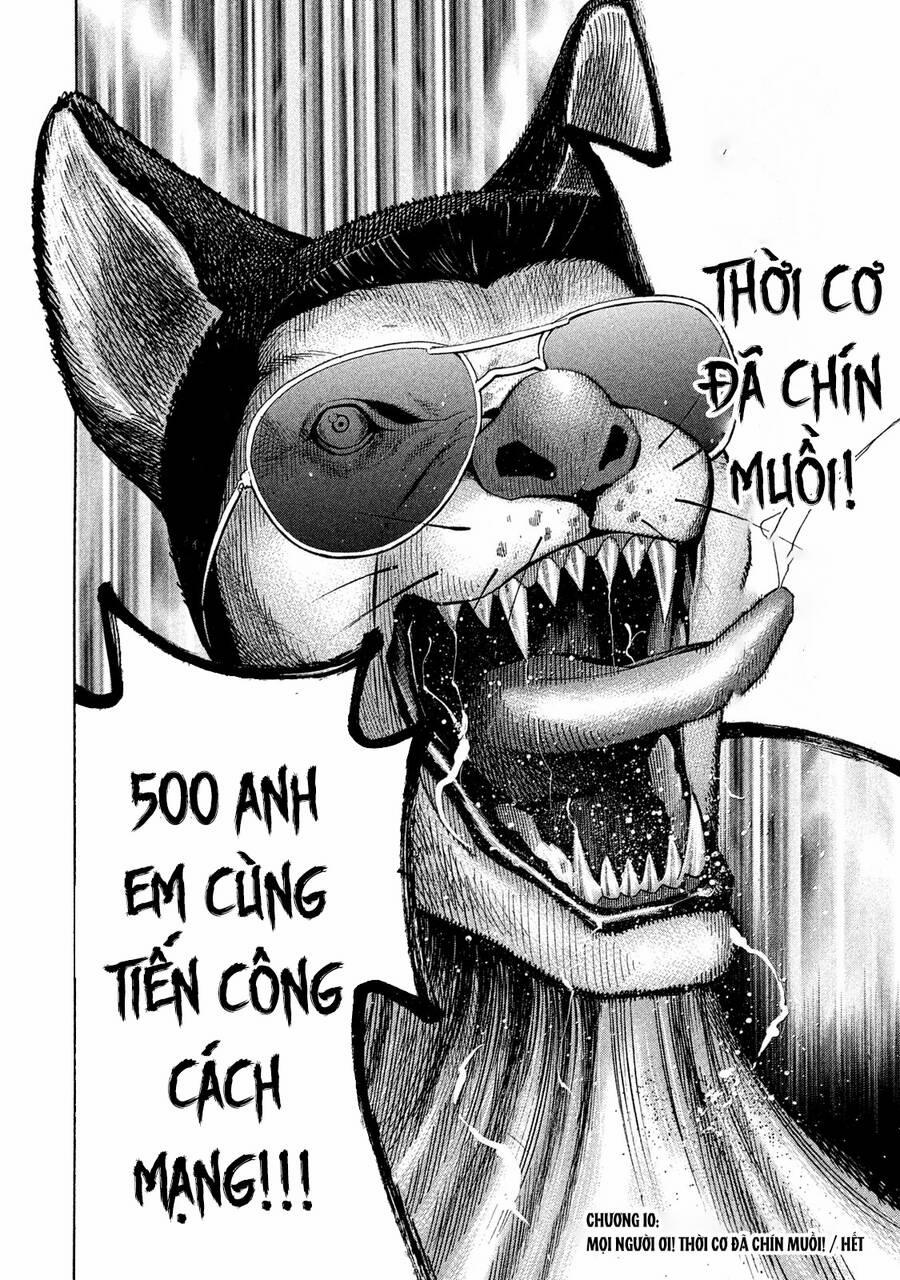 Chiến Binh Cách Mạng: Người Chó Còn Trinh 10 trang 31