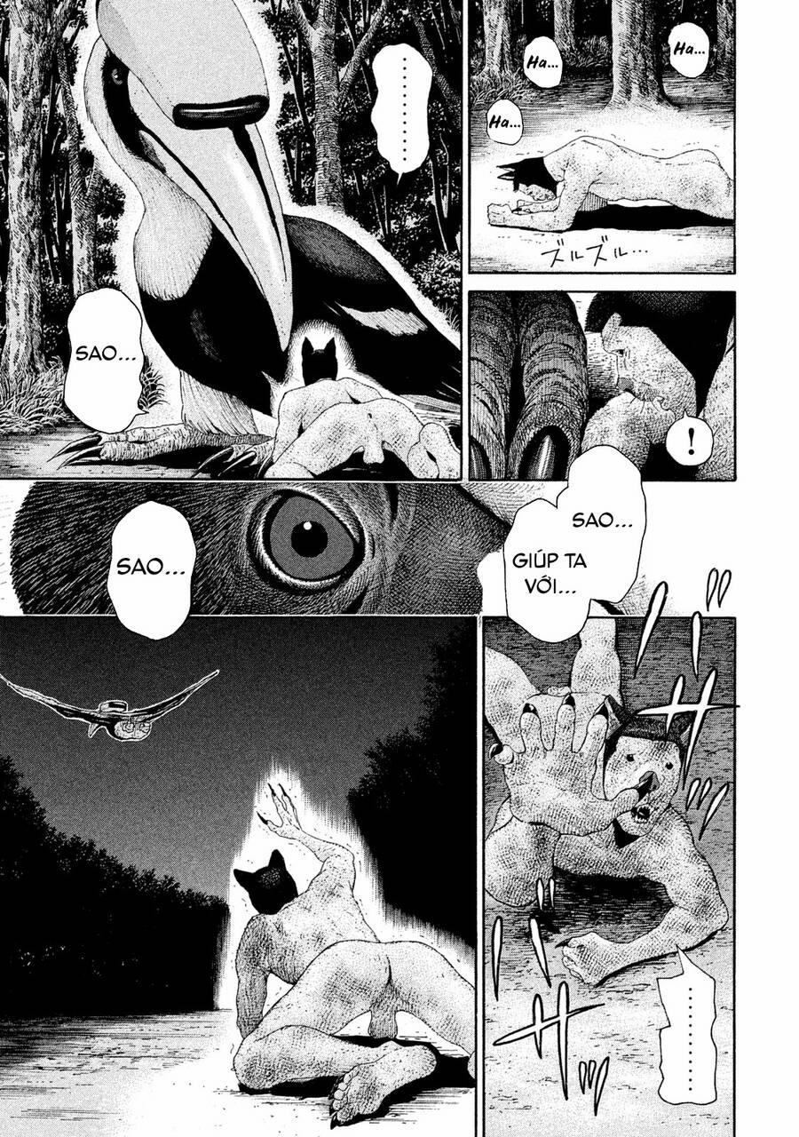 Chiến Binh Cách Mạng: Người Chó Còn Trinh 14 trang 27