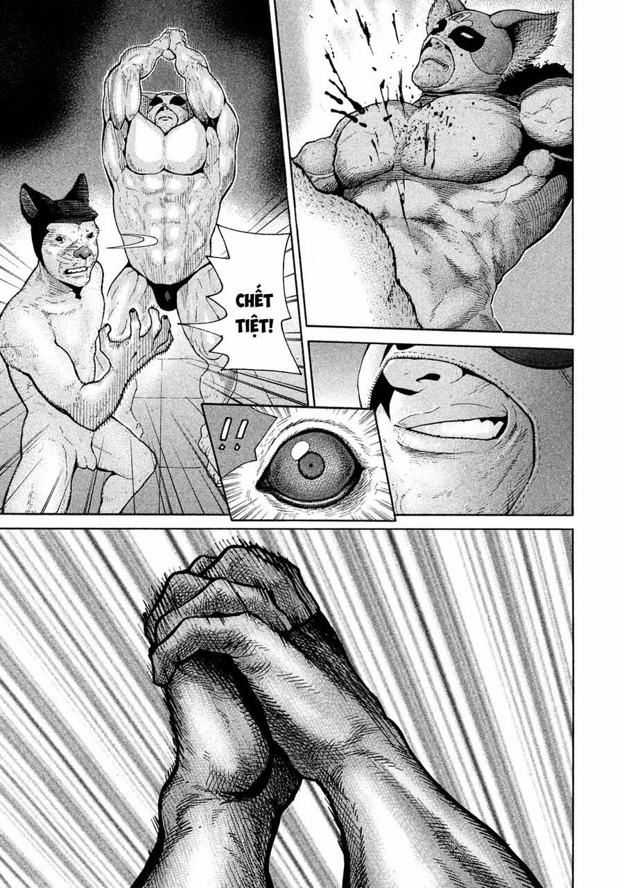 Chiến Binh Cách Mạng: Người Chó Còn Trinh 8 trang 18