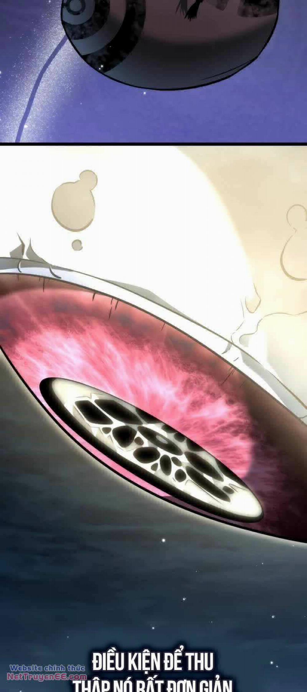 Chiến Binh Hồi Quy 14 trang 2