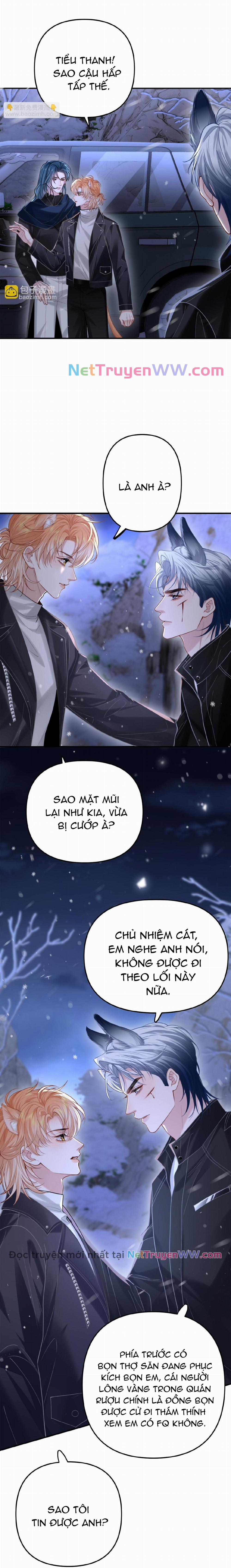 Chiều hư 11 trang 6