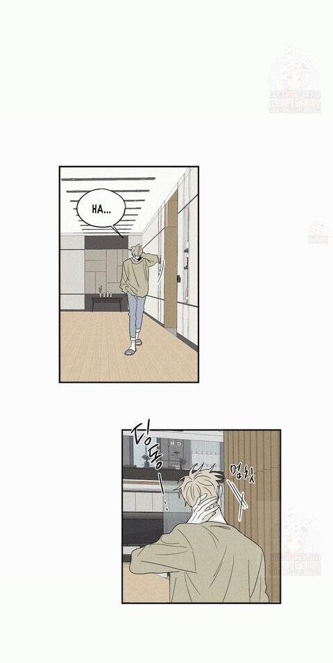 Chiếu Tướng 12 trang 6