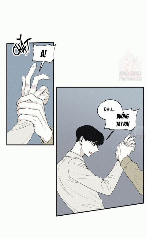 Chiếu Tướng 13 trang 15