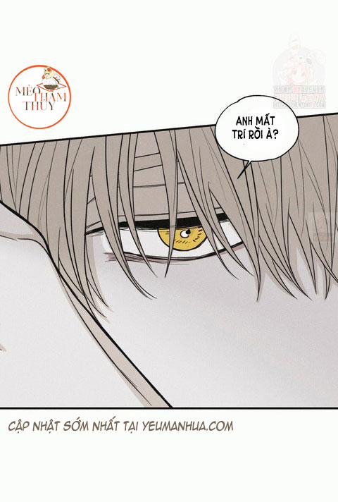 Chiếu Tướng 13 trang 16