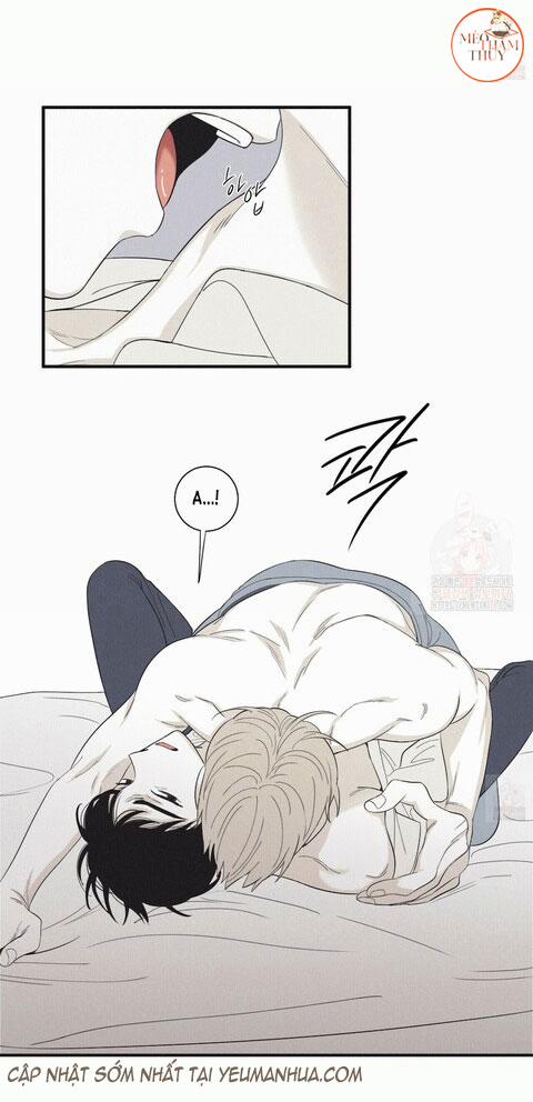 Chiếu Tướng 14 trang 12