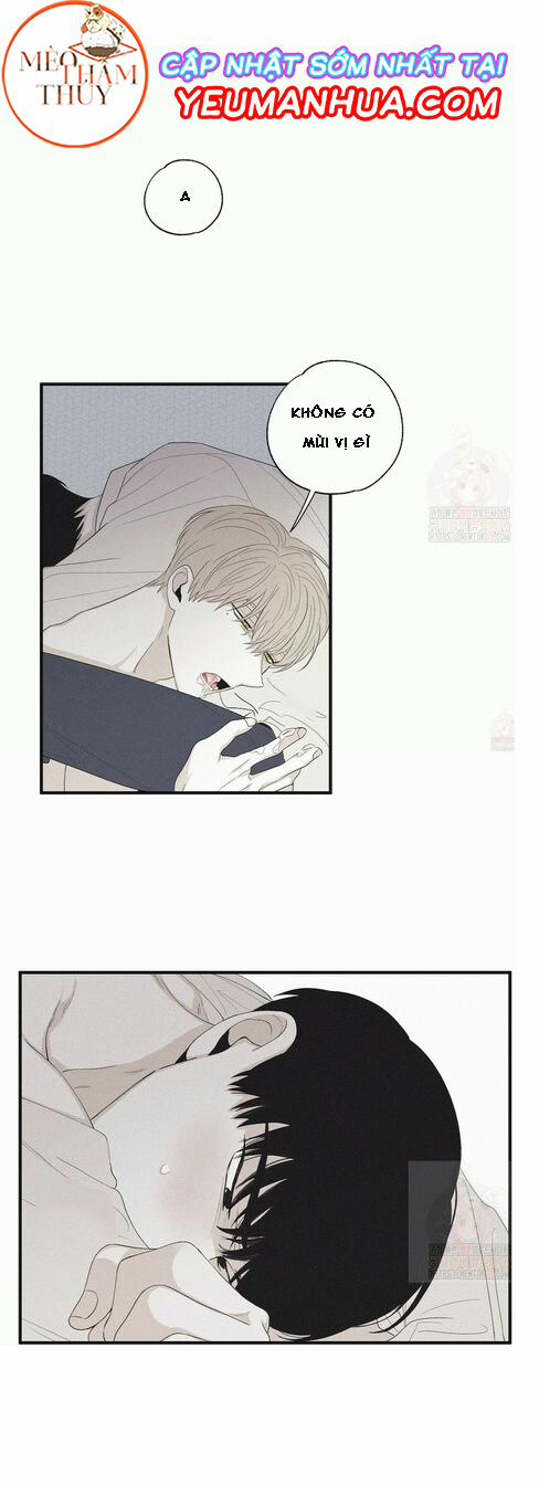 Chiếu Tướng 15 trang 13