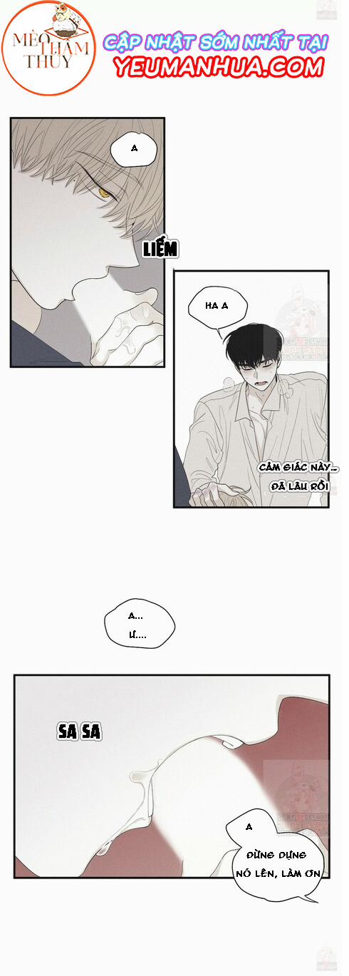 Chiếu Tướng 15 trang 7