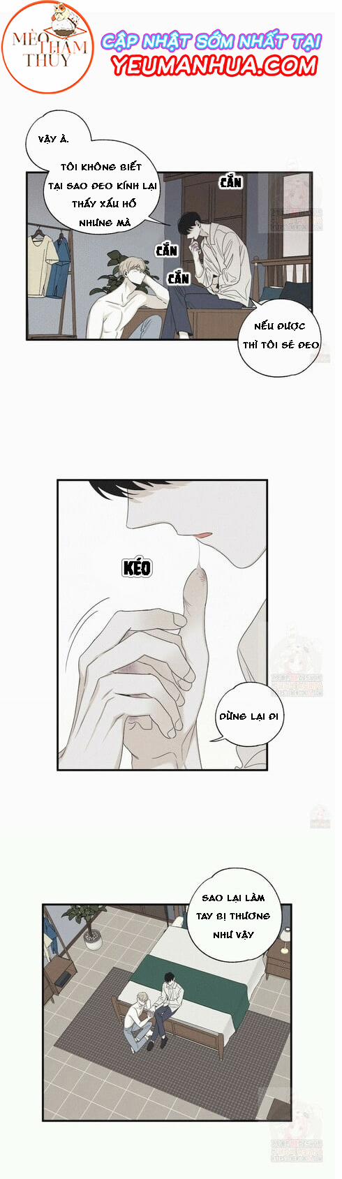 Chiếu Tướng 16 trang 8