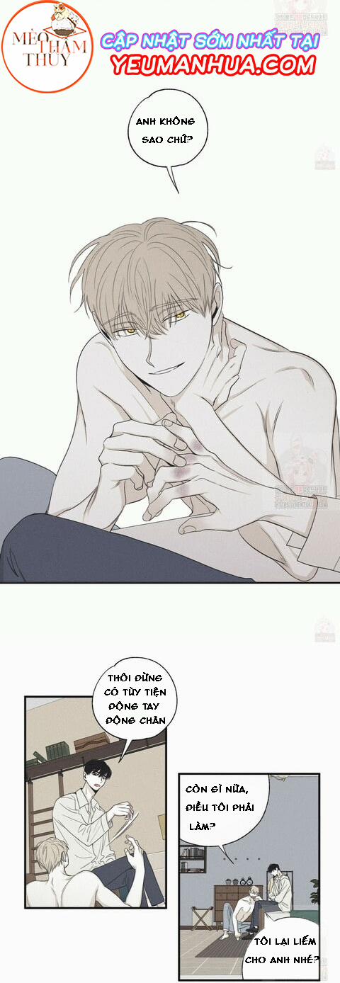 Chiếu Tướng 16 trang 9