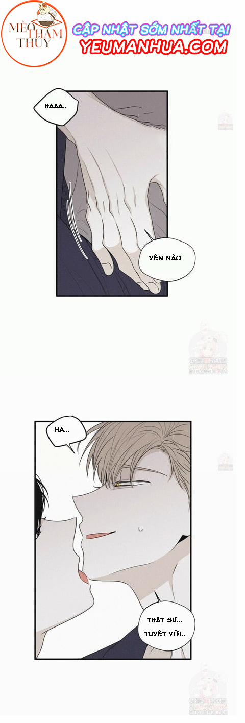 Chiếu Tướng 19 trang 10