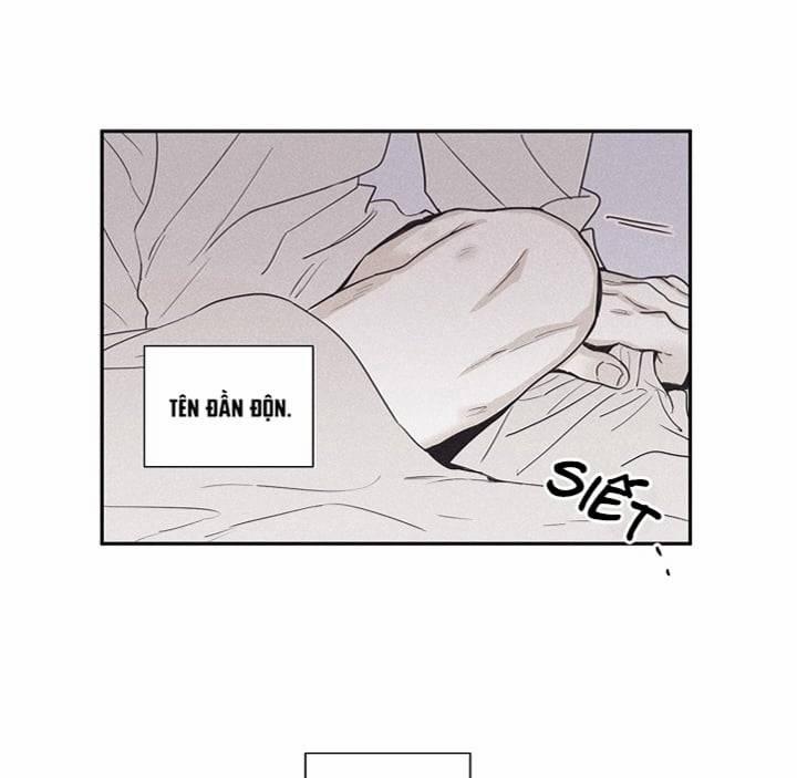 Chiếu Tướng 29 trang 21