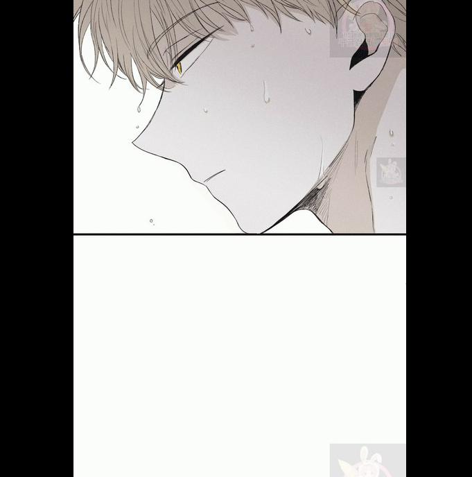 Chiếu Tướng 3 trang 21