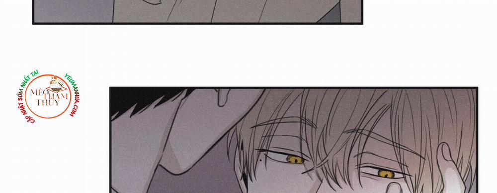 Chiếu Tướng 44 trang 37