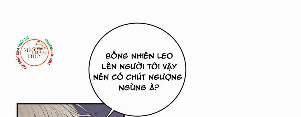 Chiếu Tướng 44 trang 47