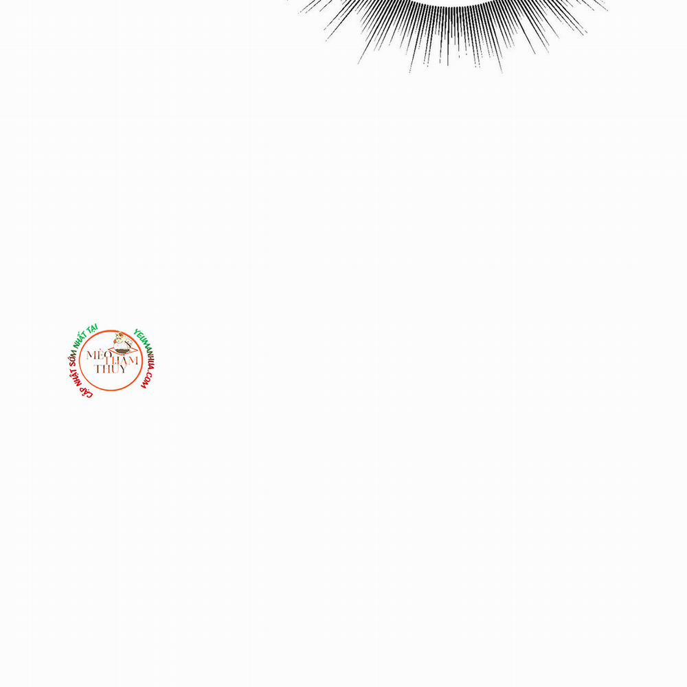 Chiếu Tướng 45 trang 20